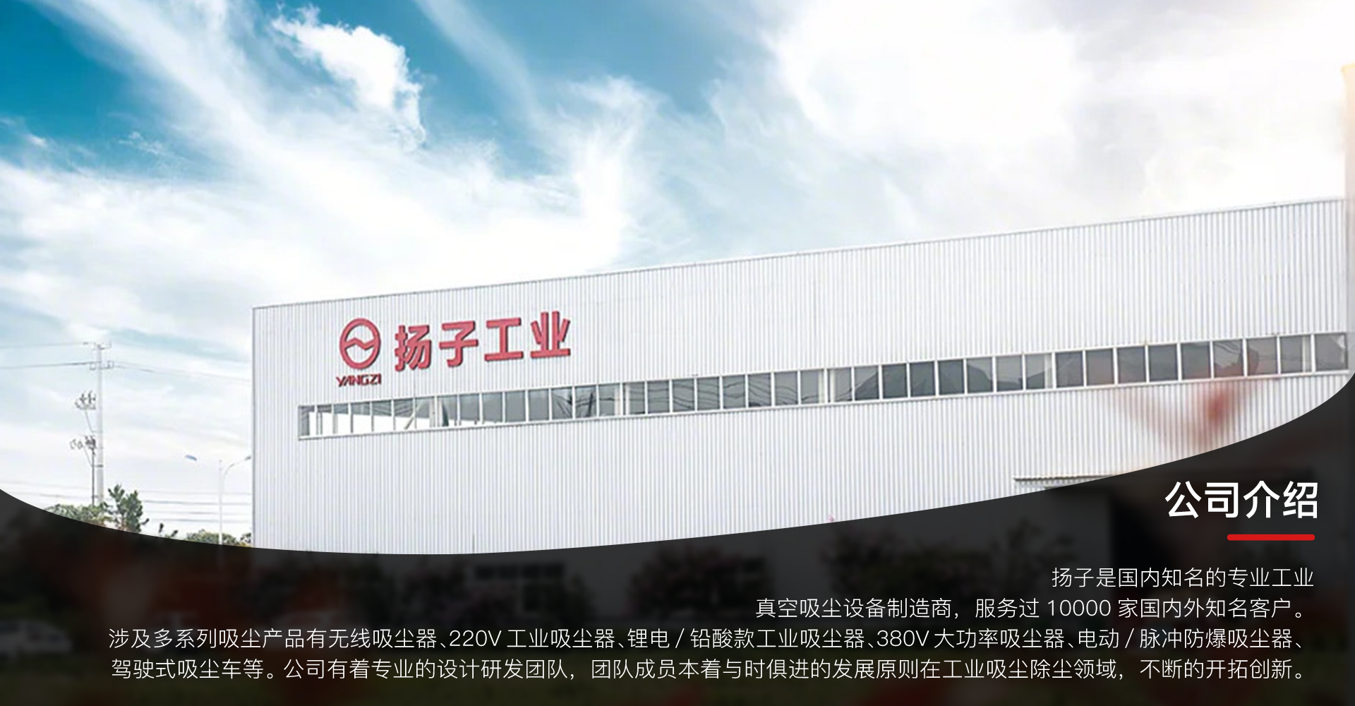 扬子公司简介
